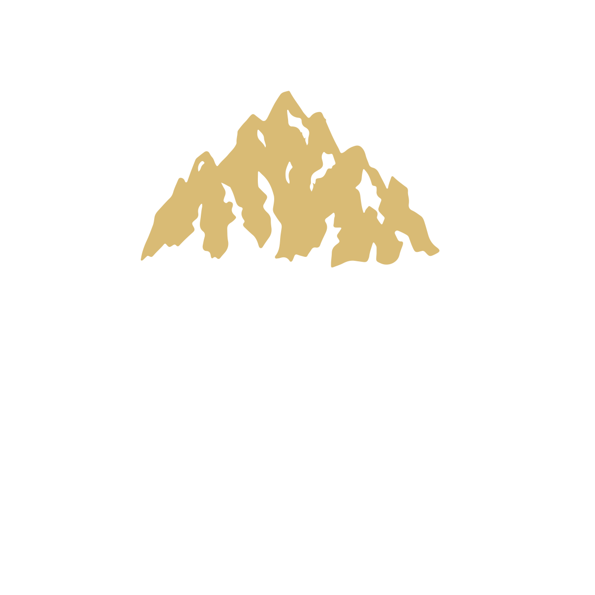 Aconcagua Valley Coffee 